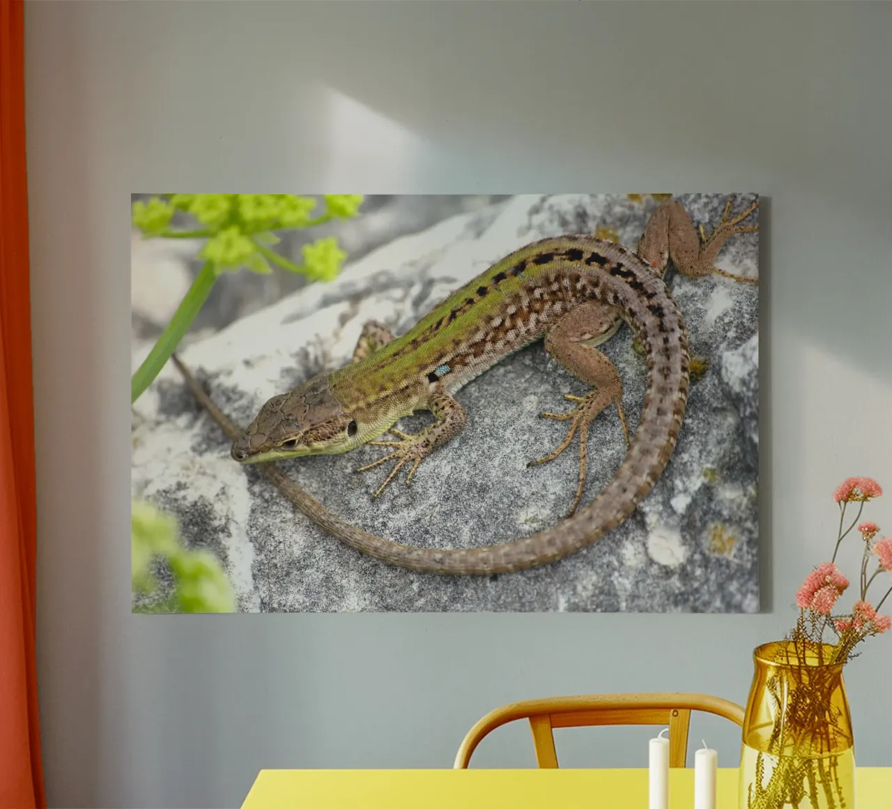 Lizard canvas by eyes & tries
