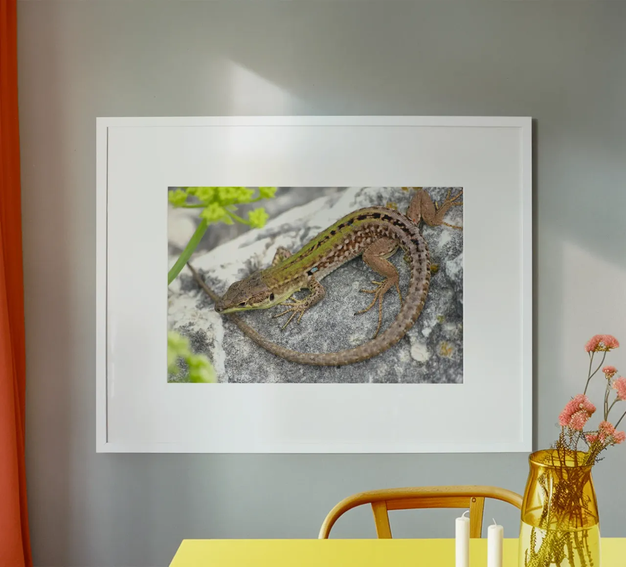 Lizard poster by eyes & tries