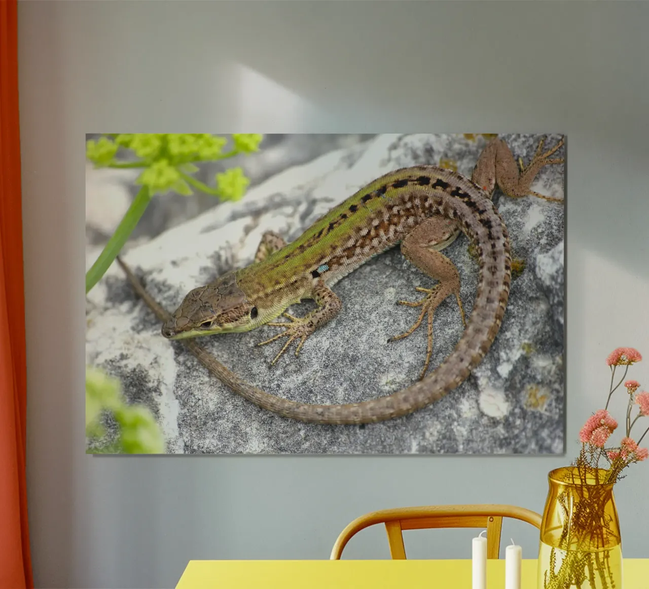 Lizard poster by eyes & tries