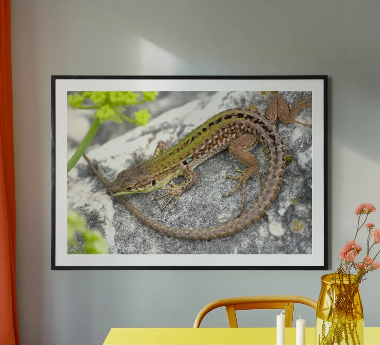Lizard poster by eyes & tries
