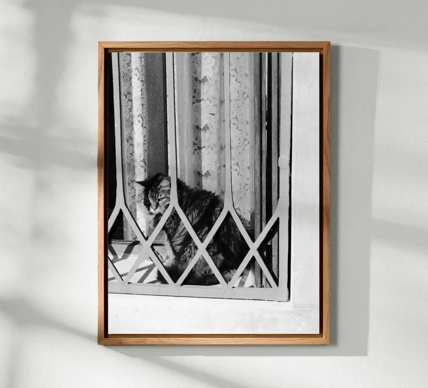 Cat alluminio dibond da eyes & tries