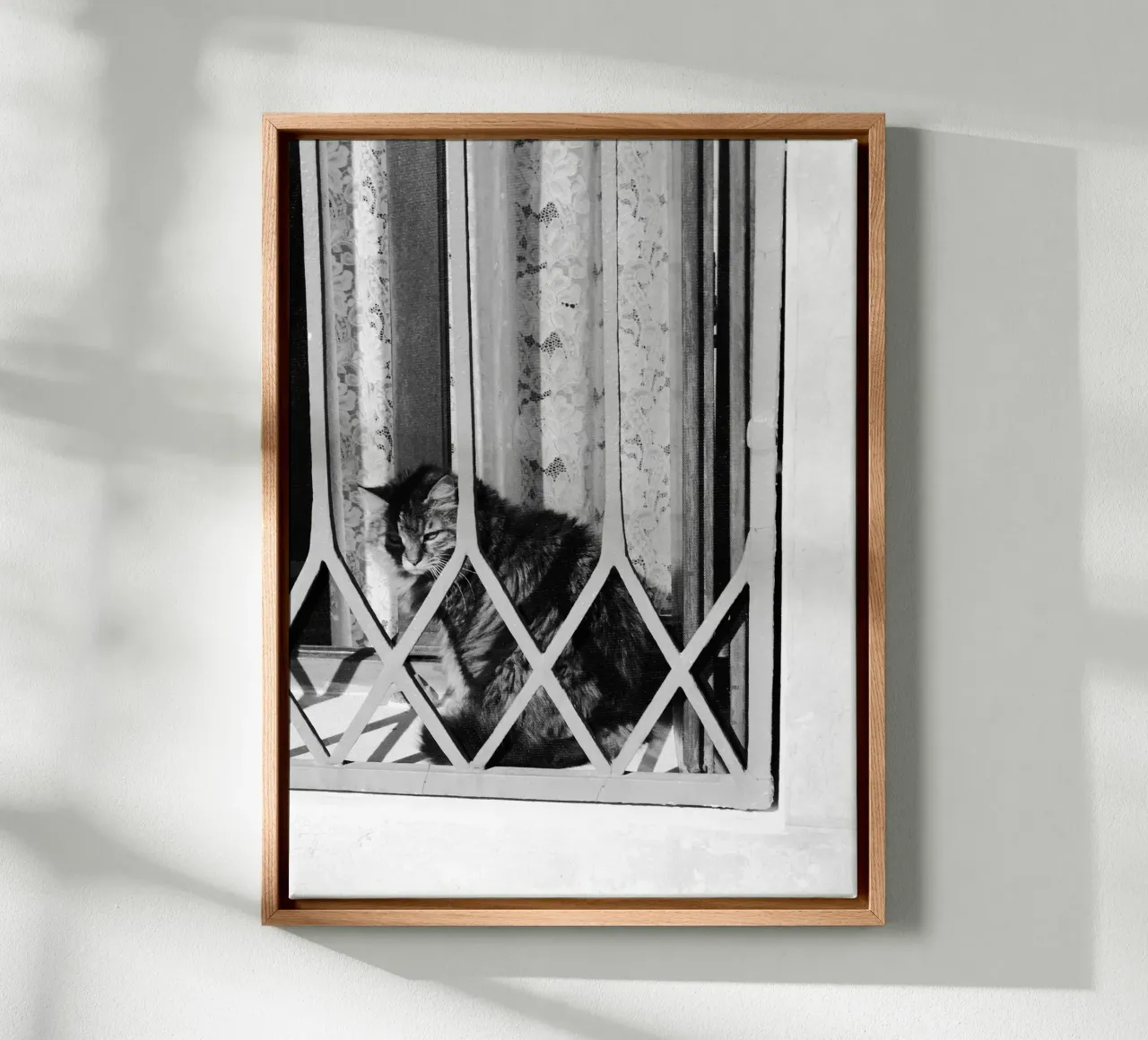 Cat canvas by eyes & tries