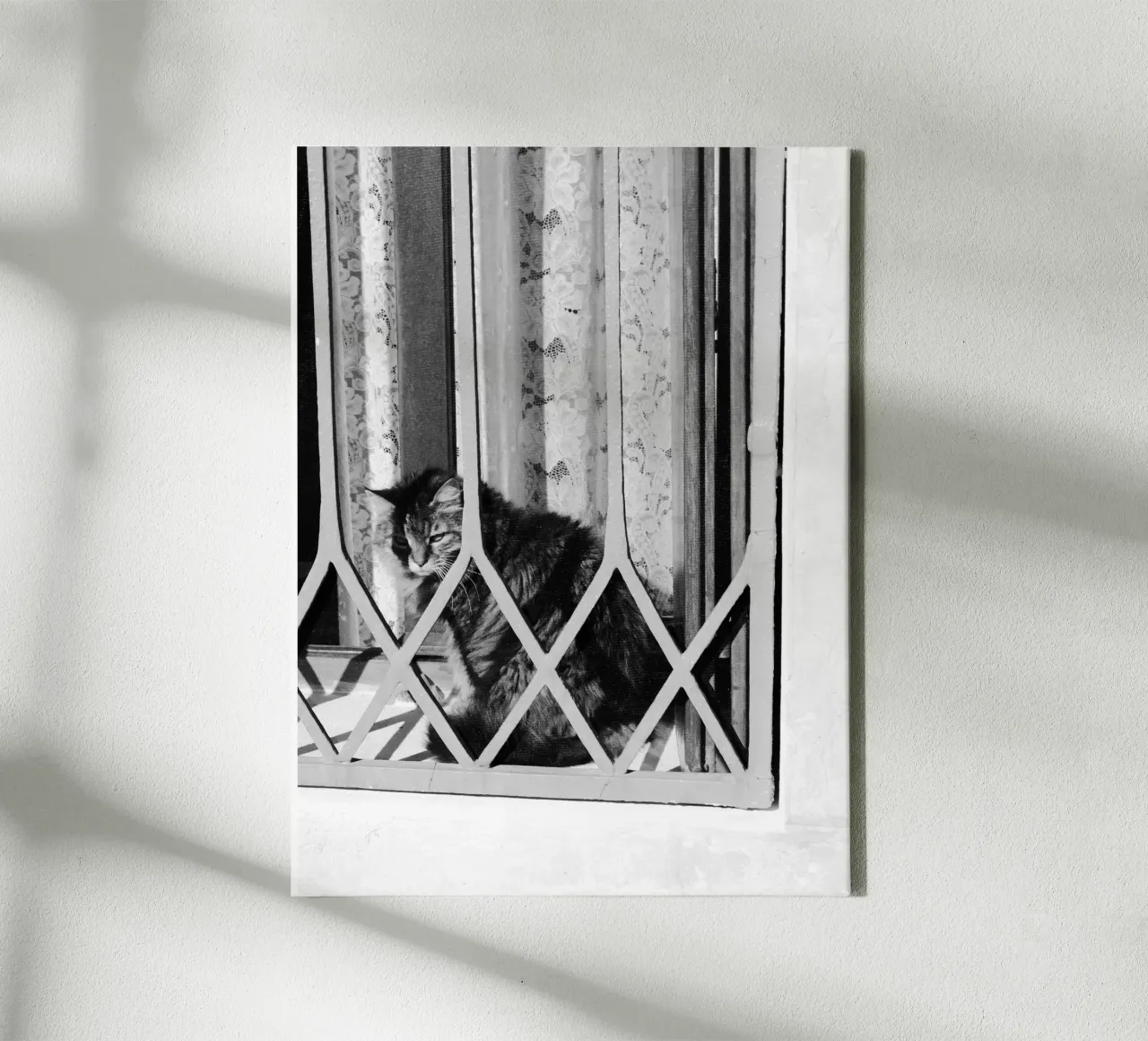 Cat canvas by eyes & tries