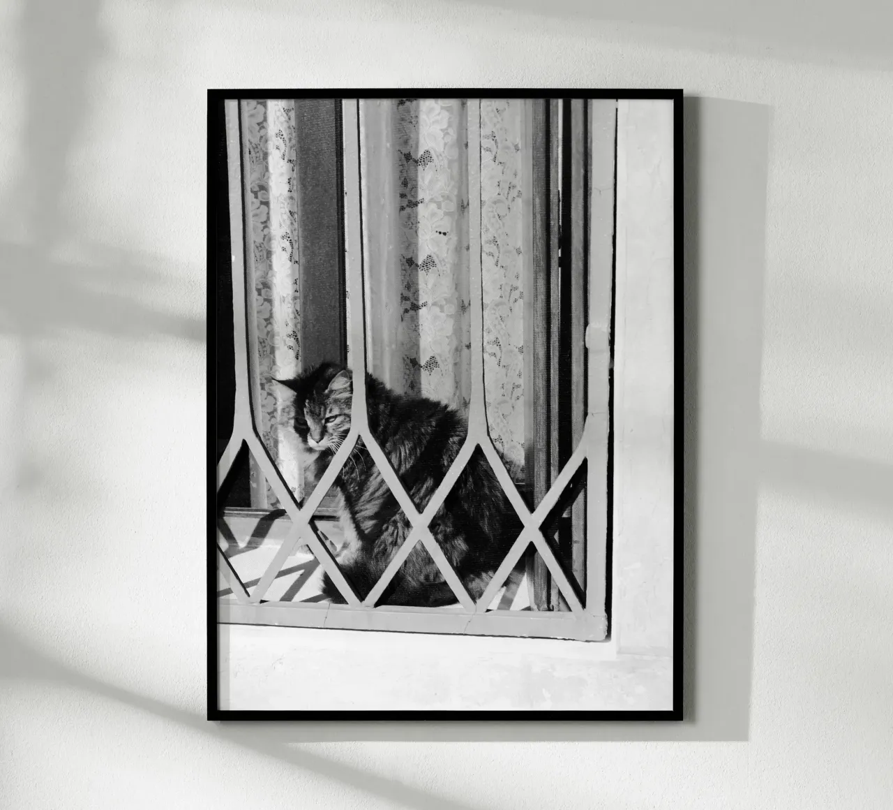 Gatto poster da eyes & tries