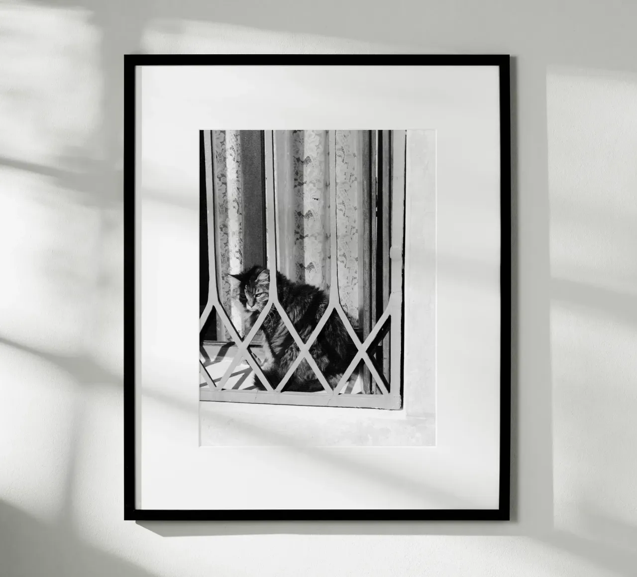 Gatto poster da eyes & tries