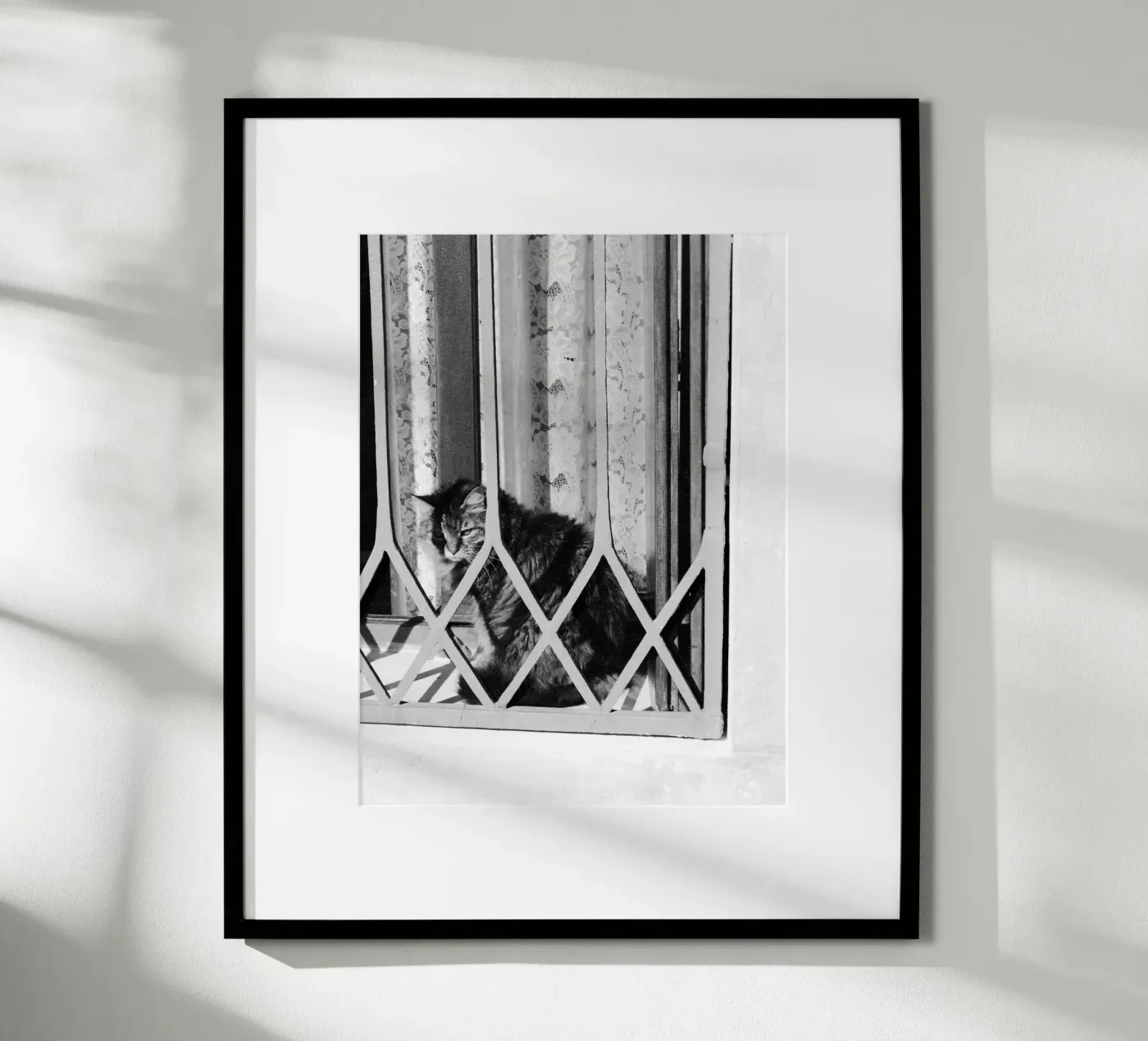 Cat poster by eyes & tries