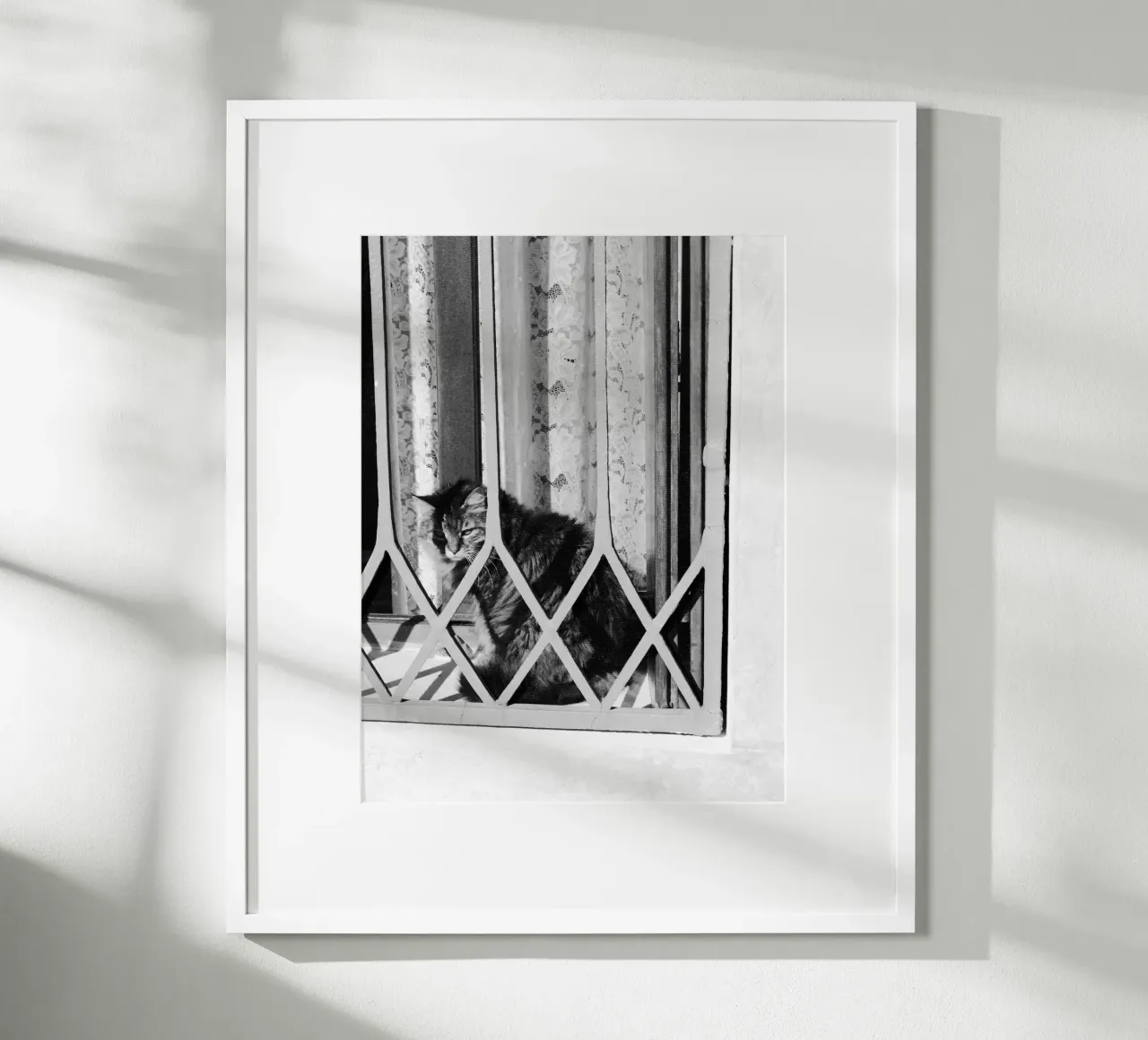 Gatto poster da eyes & tries