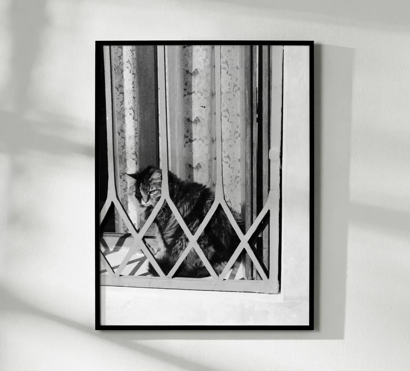 Cat poster by eyes & tries