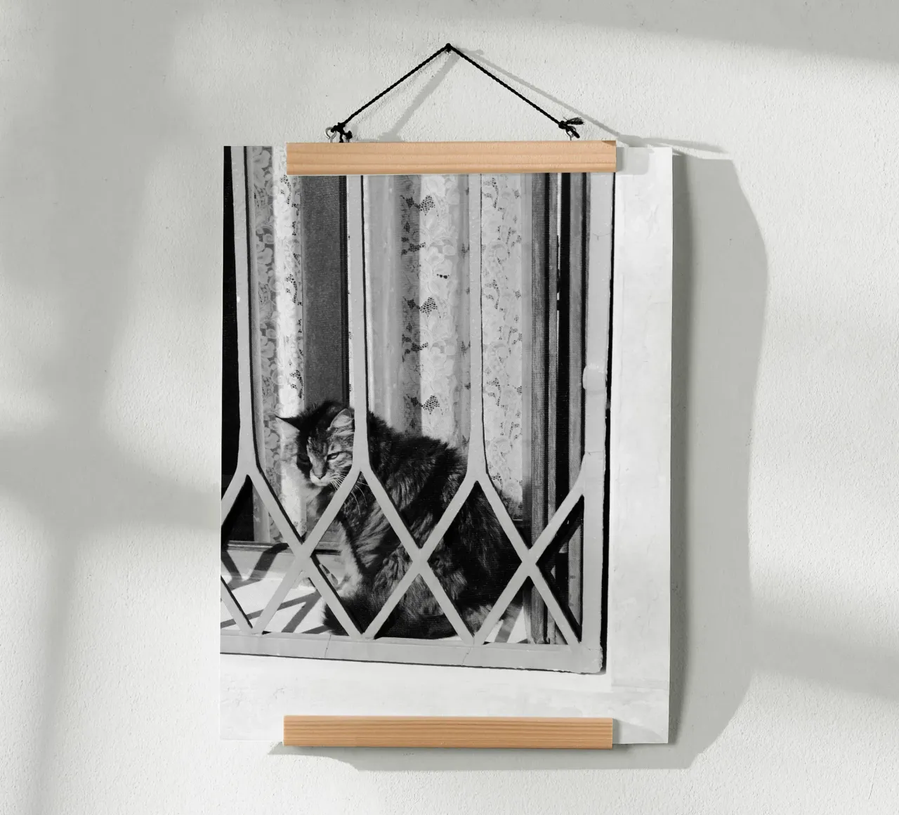 Gatto poster da eyes & tries