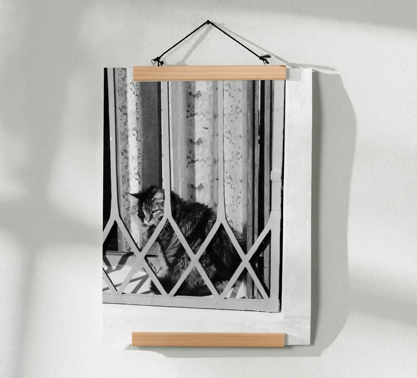 Cat poster by eyes & tries