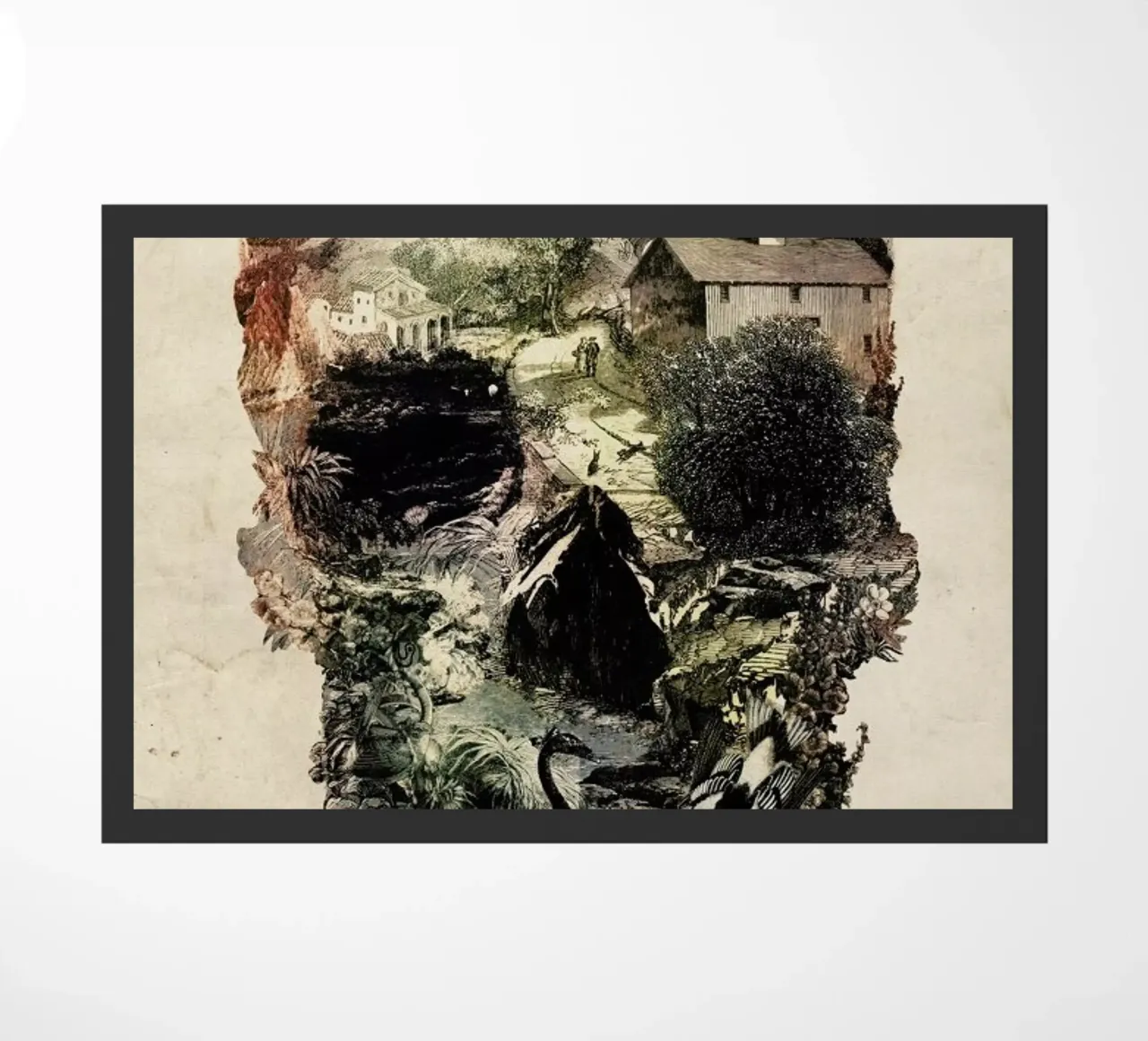 Skull Town zerbino da Ali Gulec