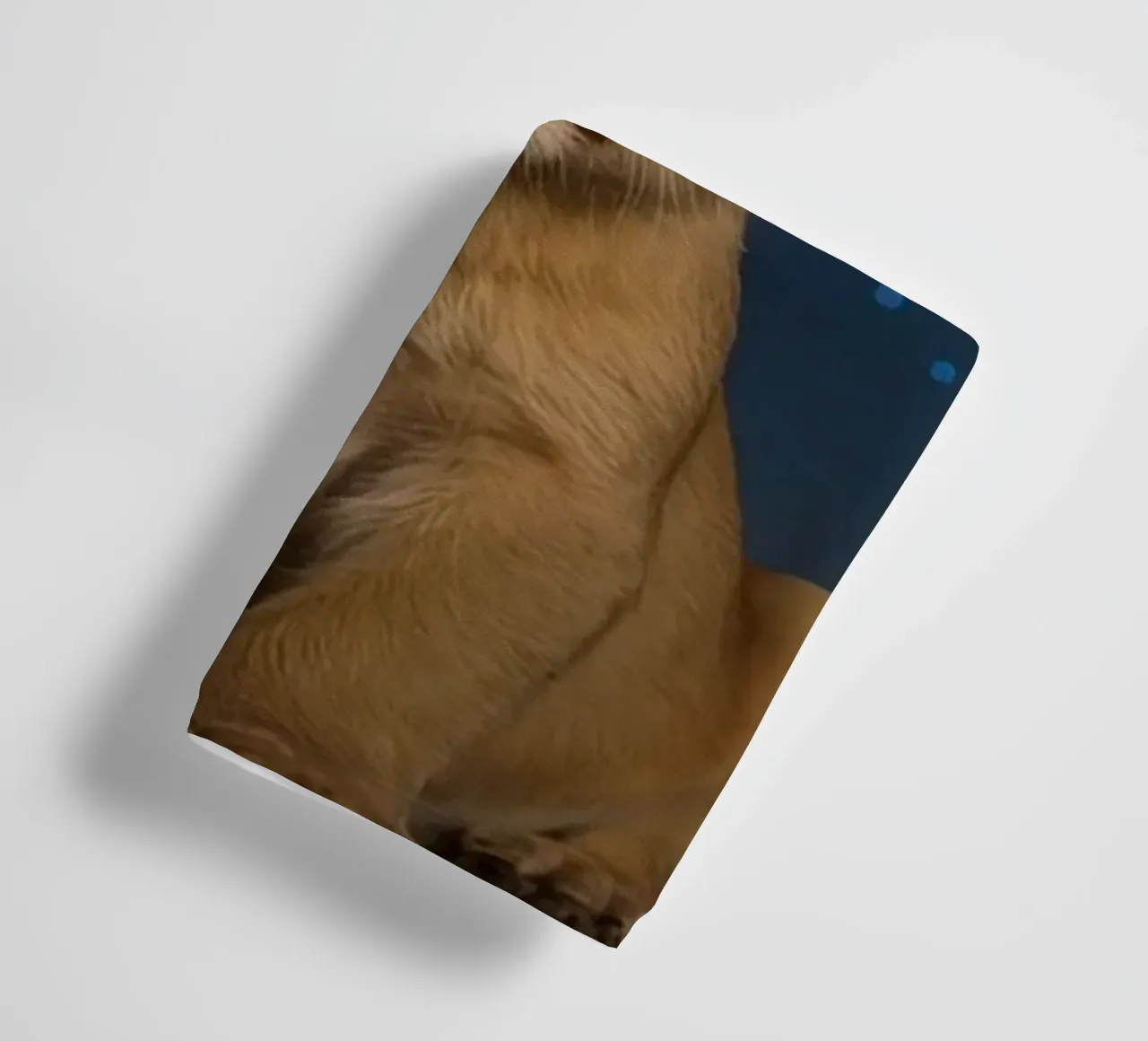 Löwenjunges trägt nachts eine Krone Handtuch von DesignDoodle