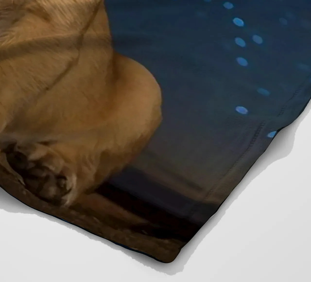 Leeuwenwelp draagt kroon 's nachts fleecedeken van DesignDoodle