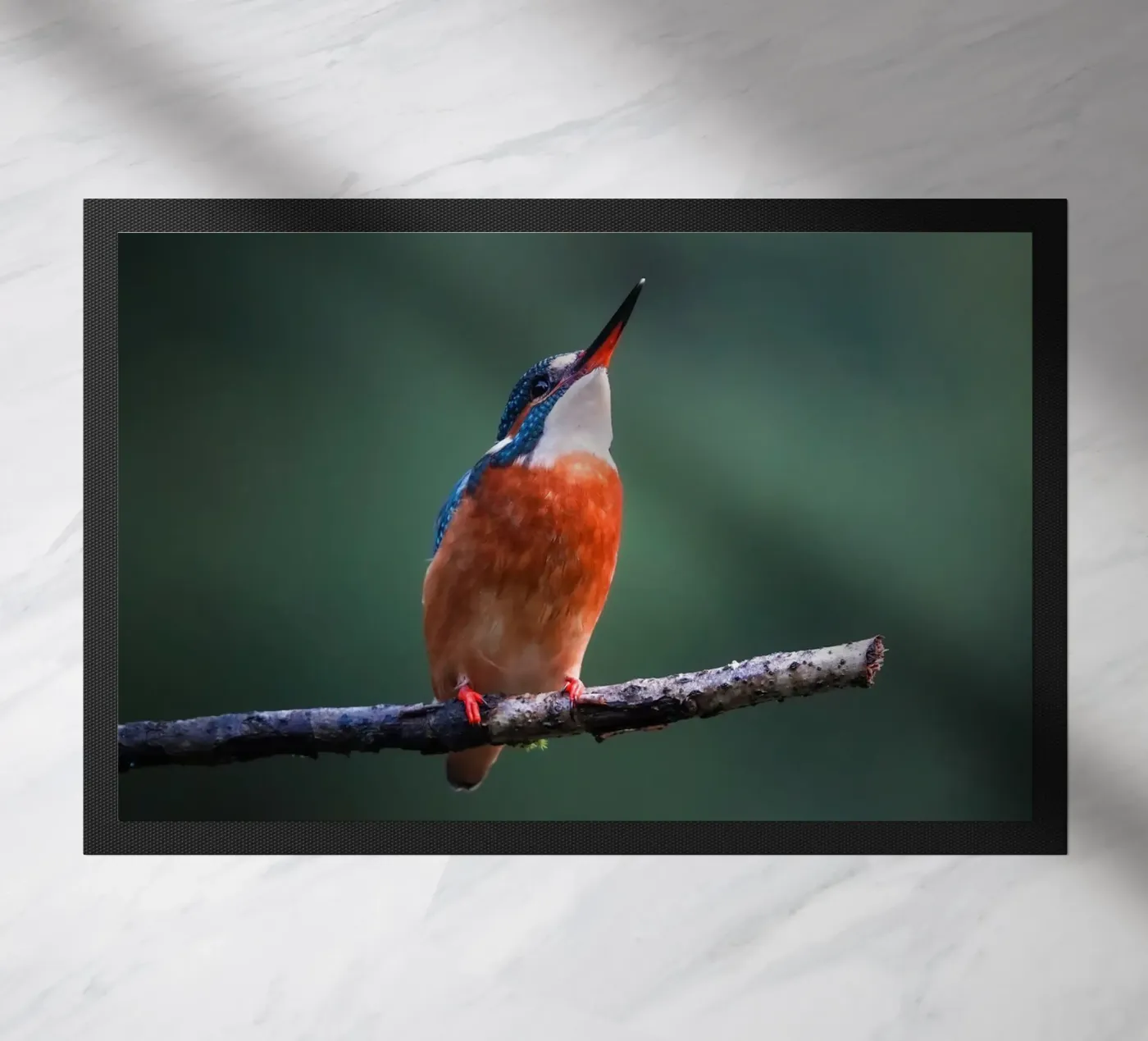 The Kingfisher Fußmatte von Tom's Wildlife