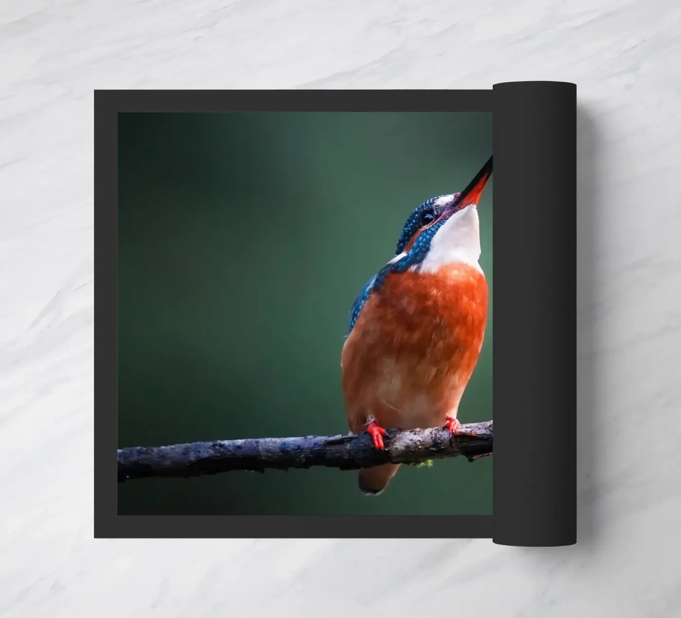 The Kingfisher Fußmatte von Tom's Wildlife