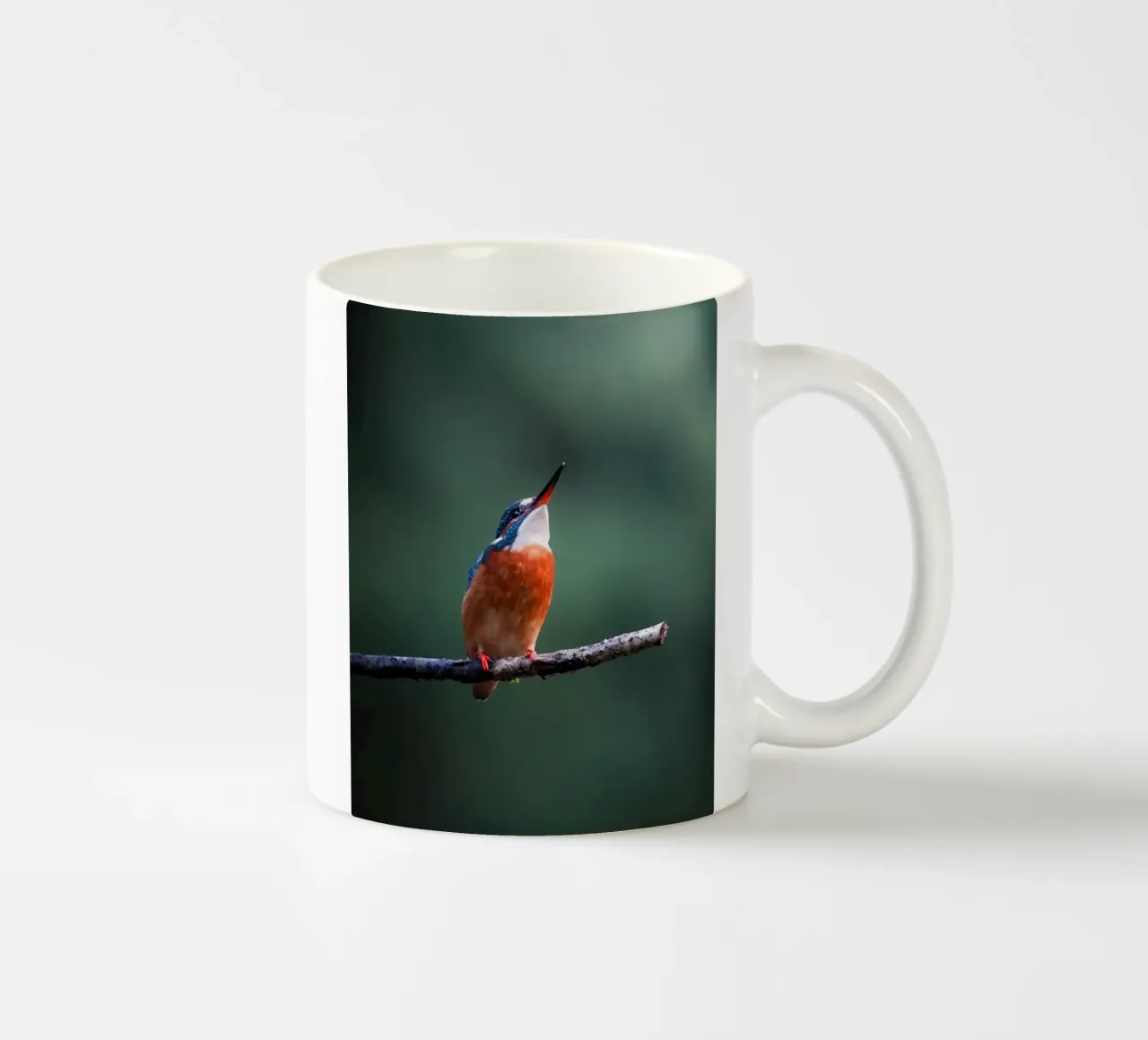 Il Martin pescatore tazza in ceramica da Tom's Wildlife