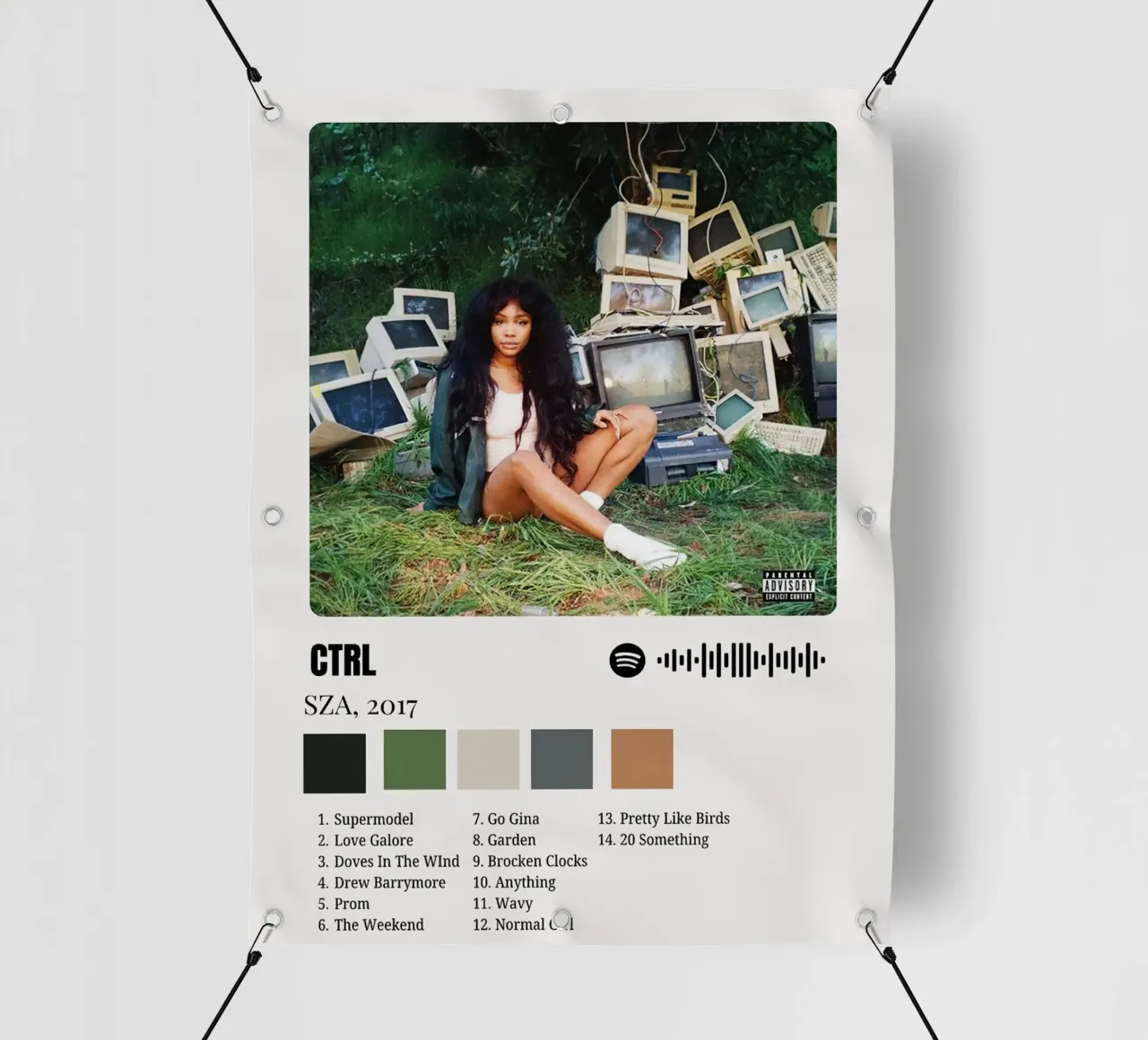 SZA CTRL telo in pvc da Roronoa7
