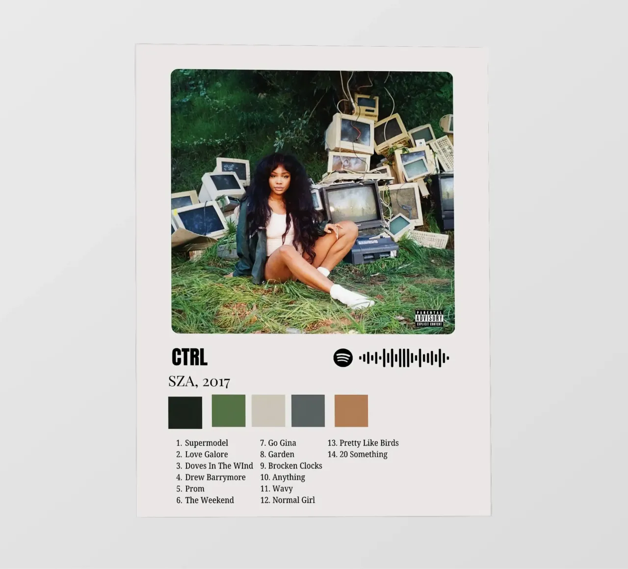 SZA CTRL telo in pvc da Roronoa7