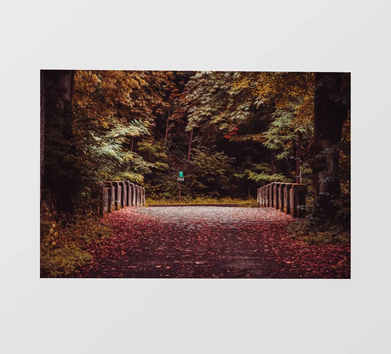 Ponte solitario in autunno | Foglie d'autunno | Foresta e alberi pellicola backlit da Bold and Retro