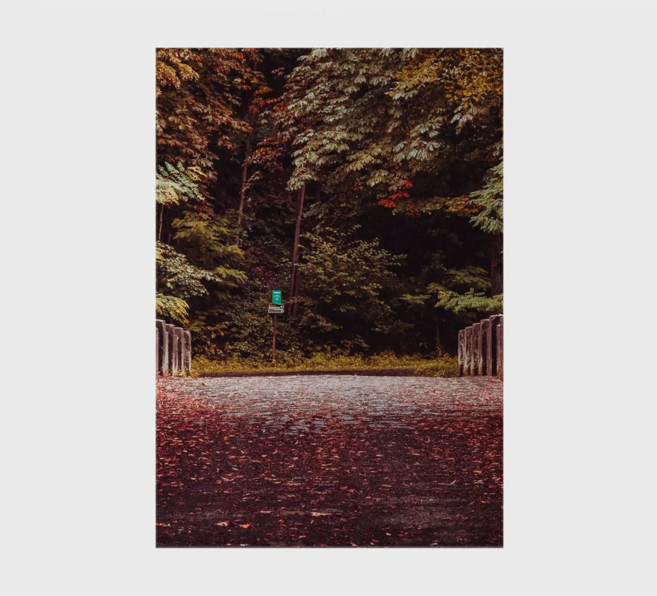 Pont solitaire en automne | Feuilles d'automne | Forêt & arbres carnet de notes de Bold and Retro