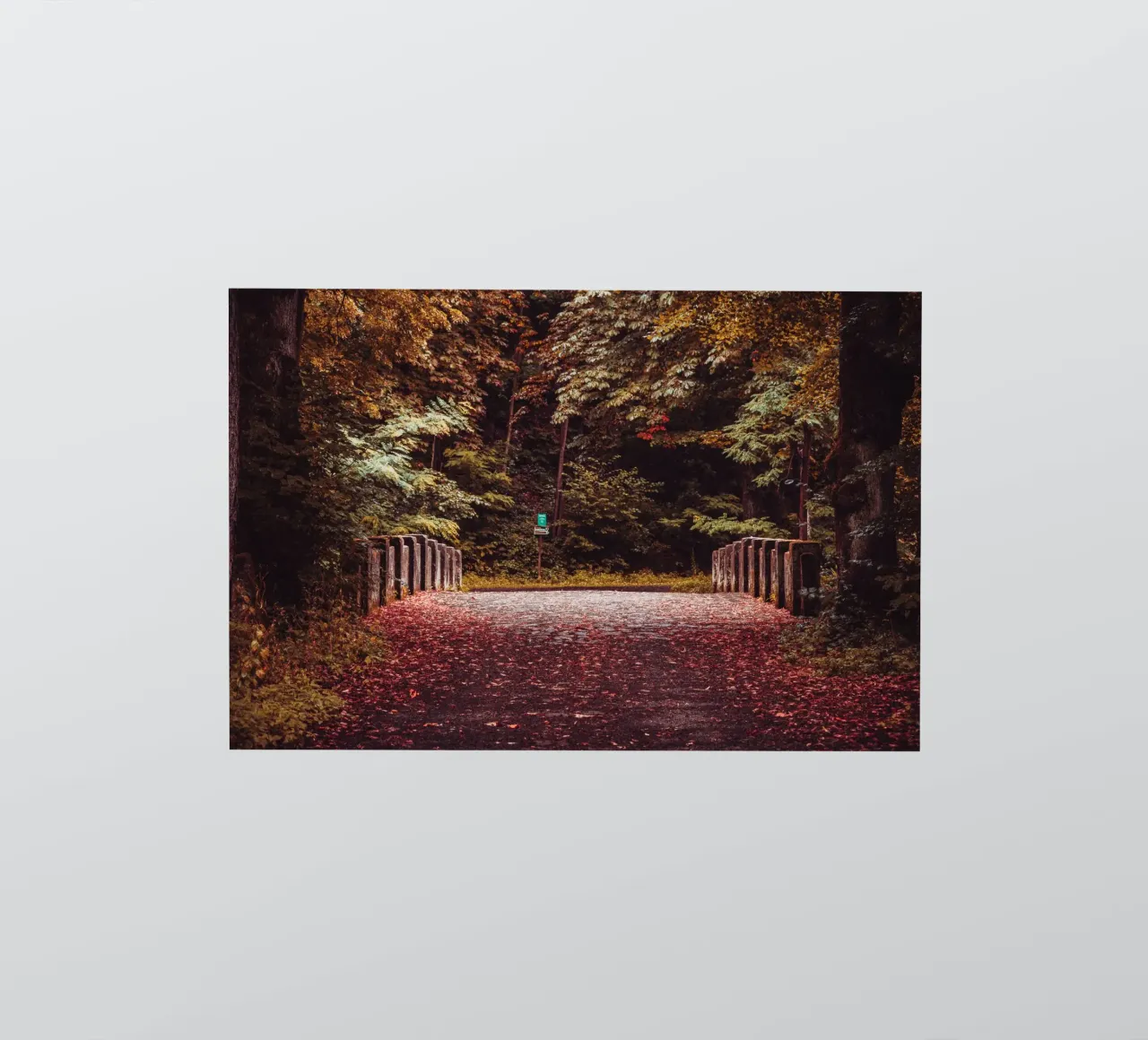 Pont solitaire en automne | Feuilles d'automne | Forêt & arbres autocollant de Bold and Retro