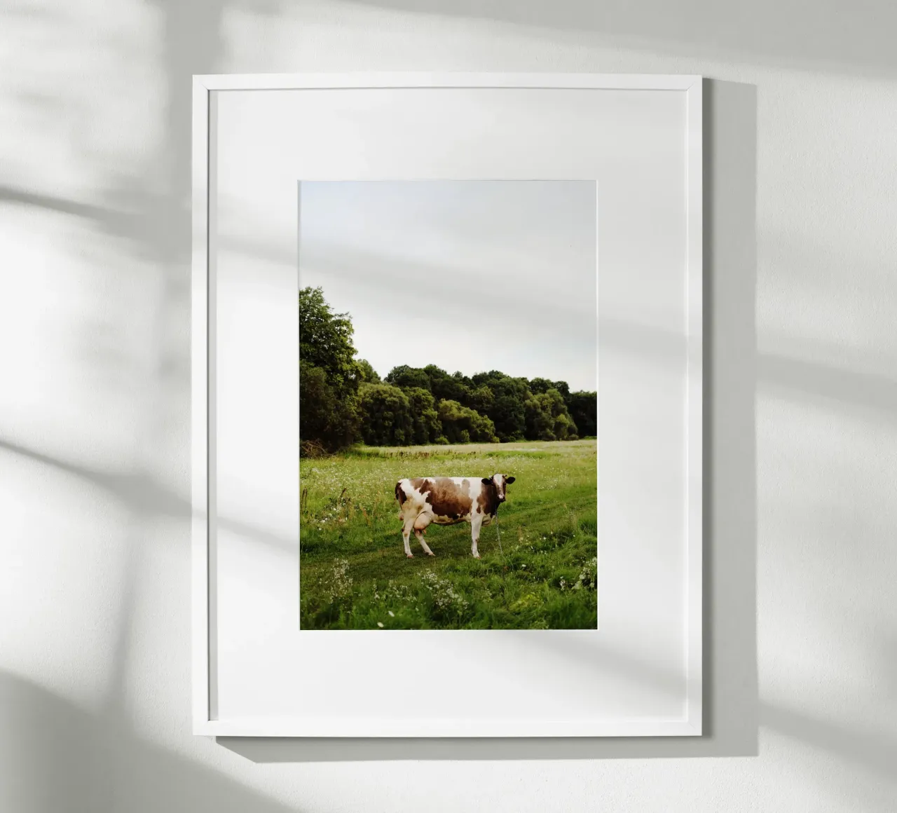 Mucca in Ucraina carta hahnemühle da Simon Koy