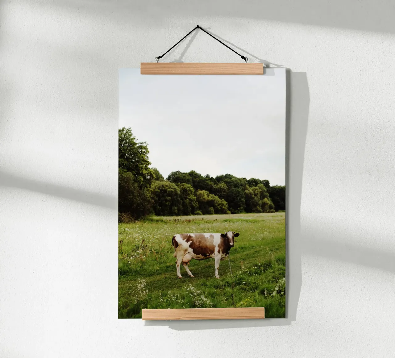 Mucca in Ucraina carta hahnemühle da Simon Koy