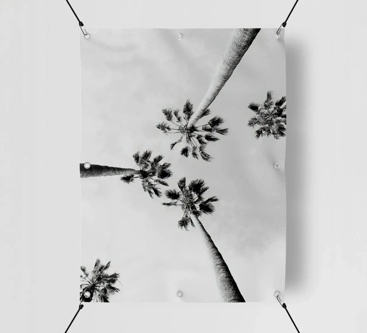 Palme in bianco e nero telo in pvc da Black And White