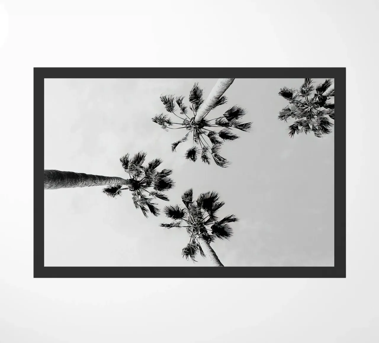 Palme in bianco e nero zerbino da Black And White