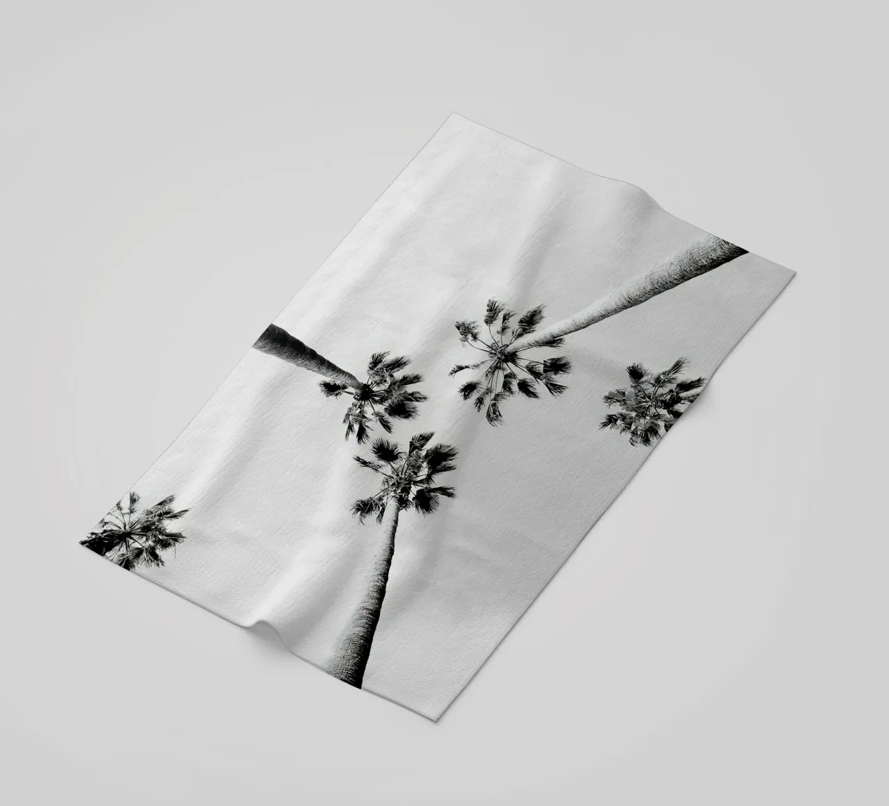 Palme in bianco e nero telo mare da Black And White
