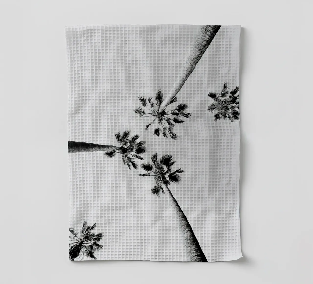 Palme in bianco e nero canovaccio da cucina da Black And White