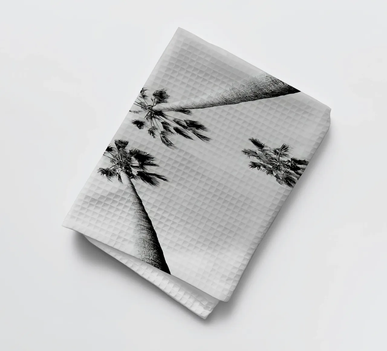 Palme in bianco e nero canovaccio da cucina da Black And White