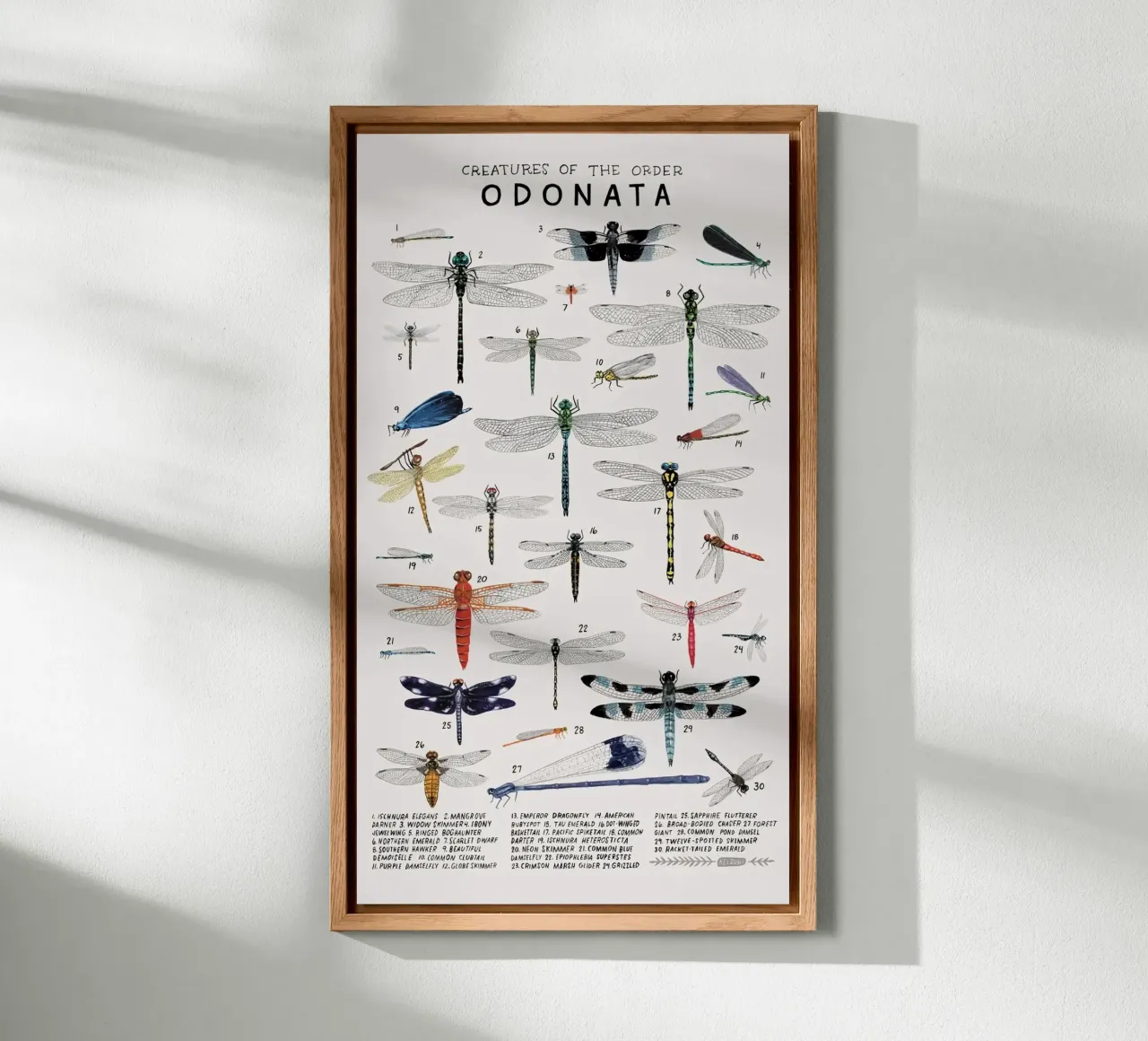 Odonata alluminio dibond da Julia Atelier