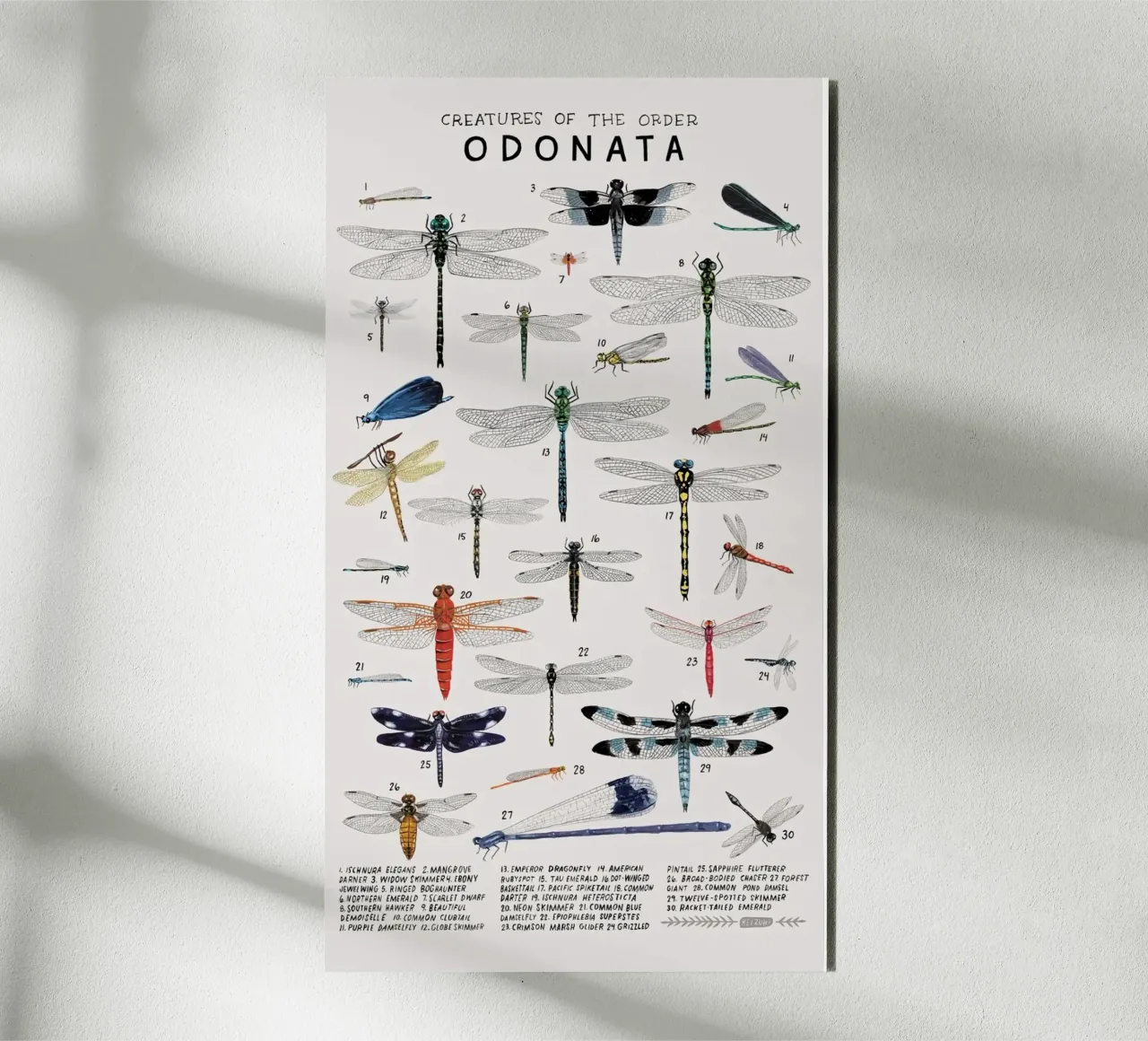 Odonata alluminio dibond da Julia Atelier