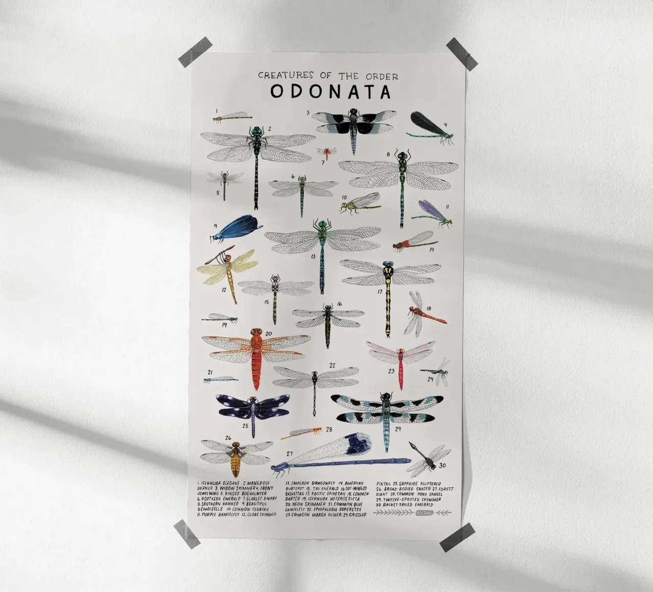 Odonata carta hahnemühle da Julia Atelier