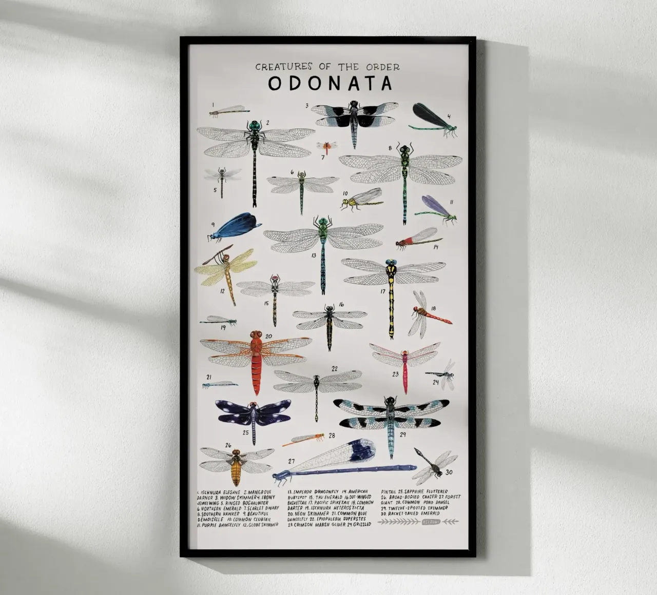 Odonata carta hahnemühle da Julia Atelier