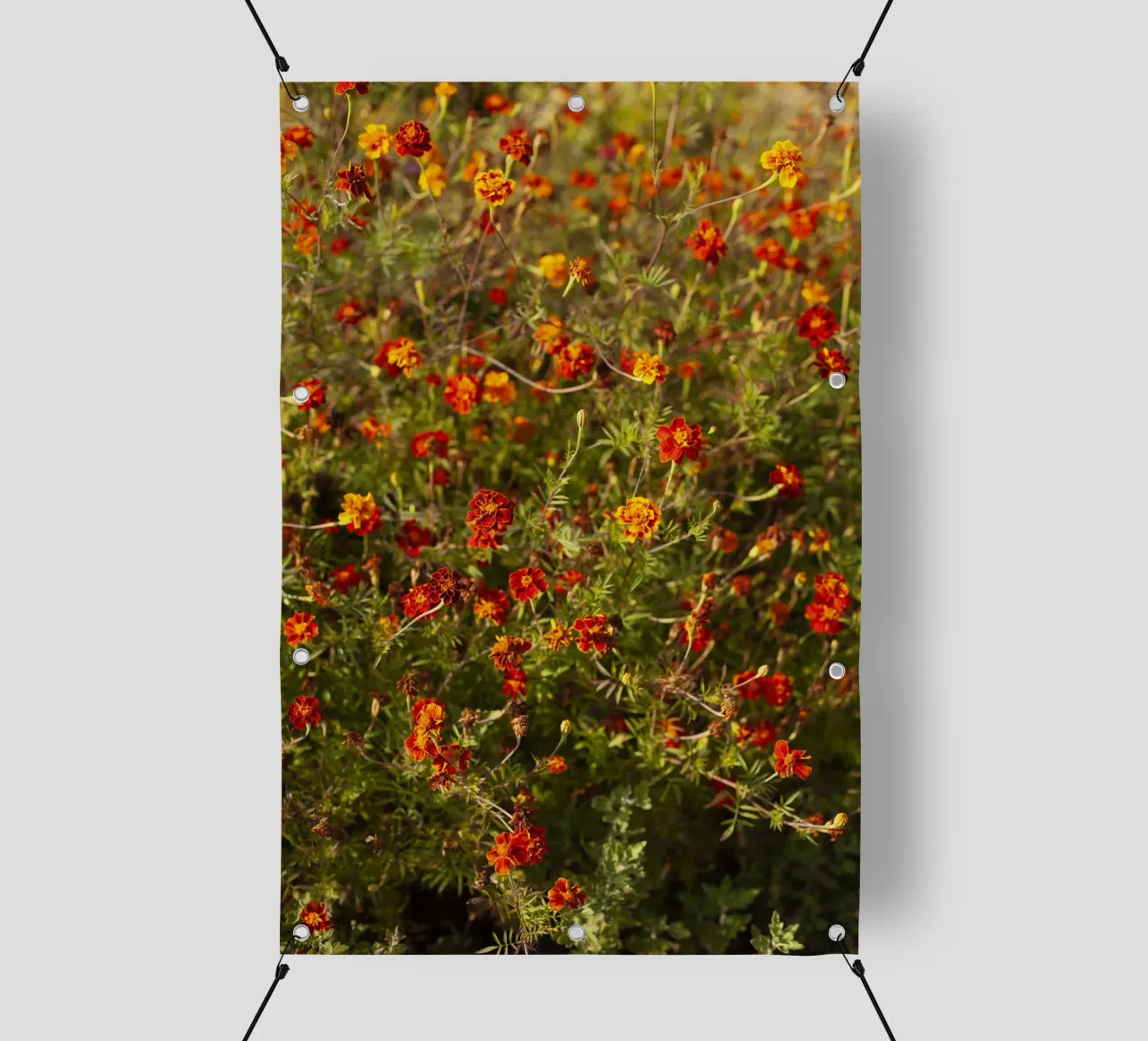 fiori rossi in Ucraina telo in pvc da Simon Koy