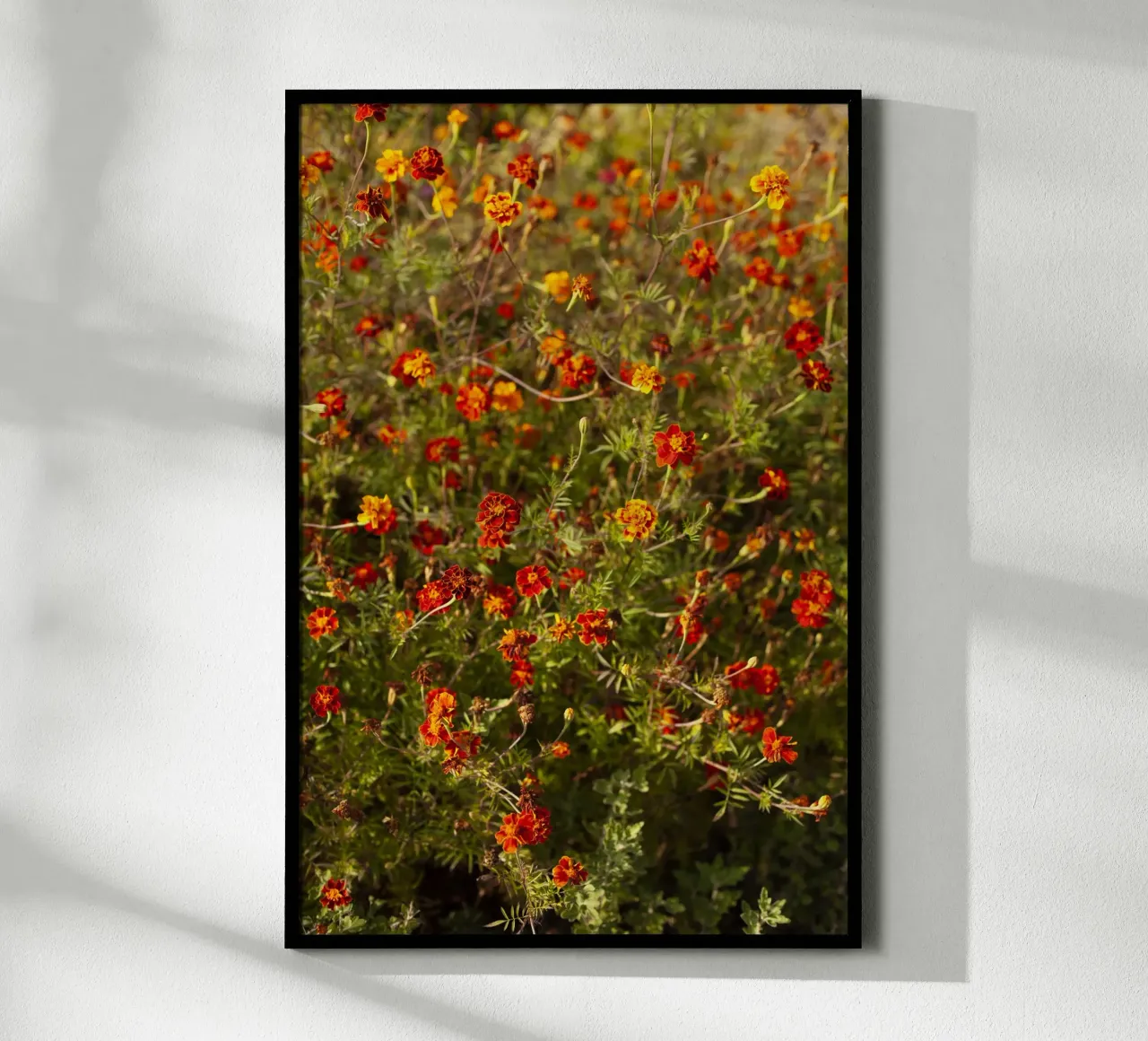 fiori rossi in Ucraina carta hahnemühle da Simon Koy