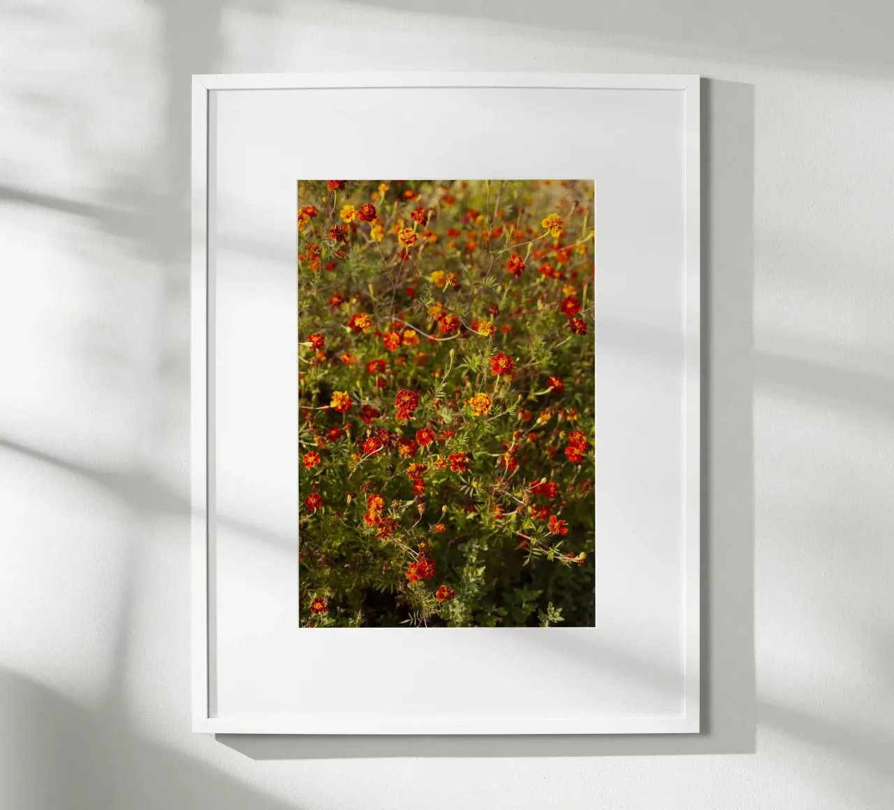 fiori rossi in Ucraina carta hahnemühle da Simon Koy