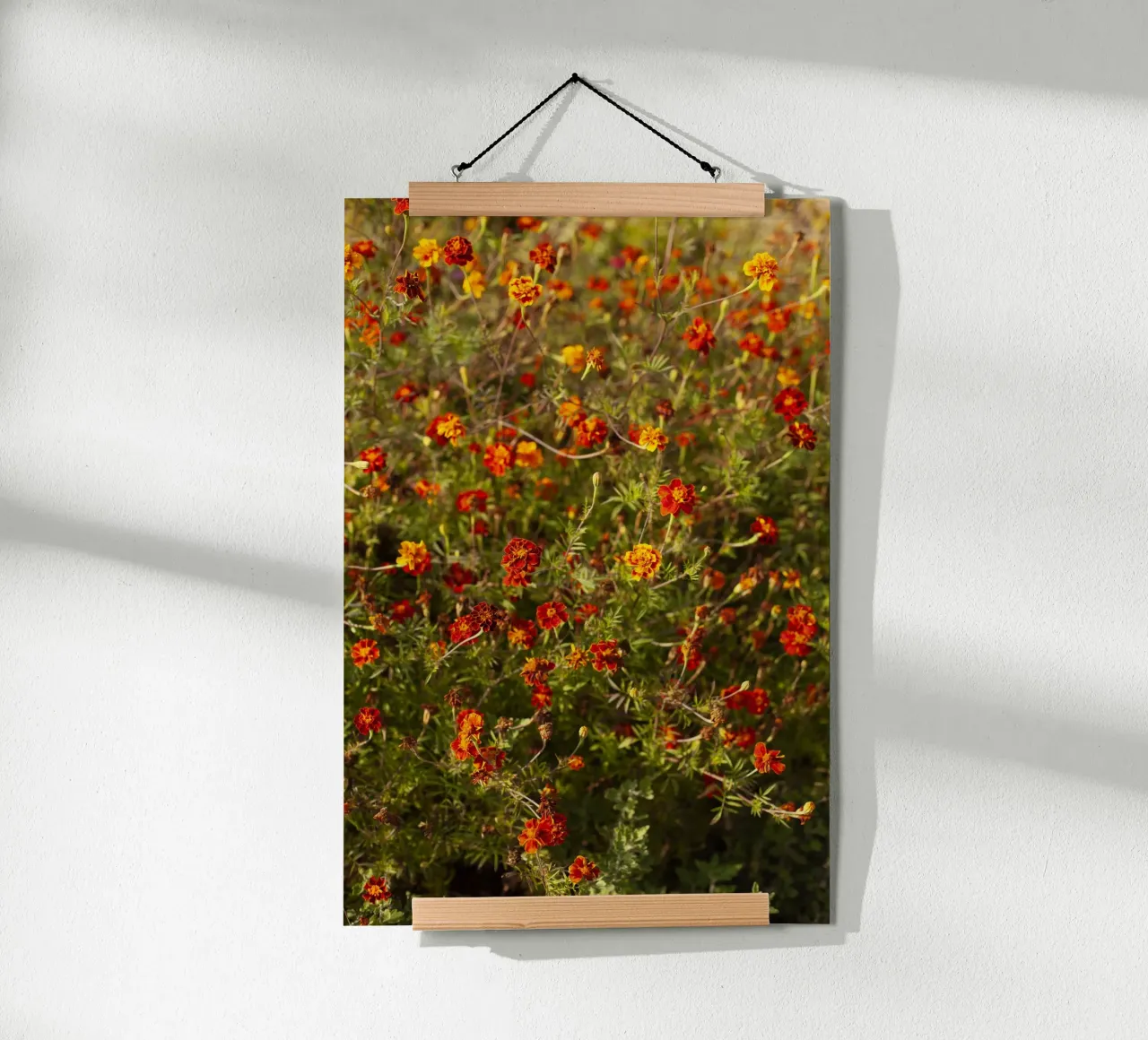 fiori rossi in Ucraina carta hahnemühle da Simon Koy