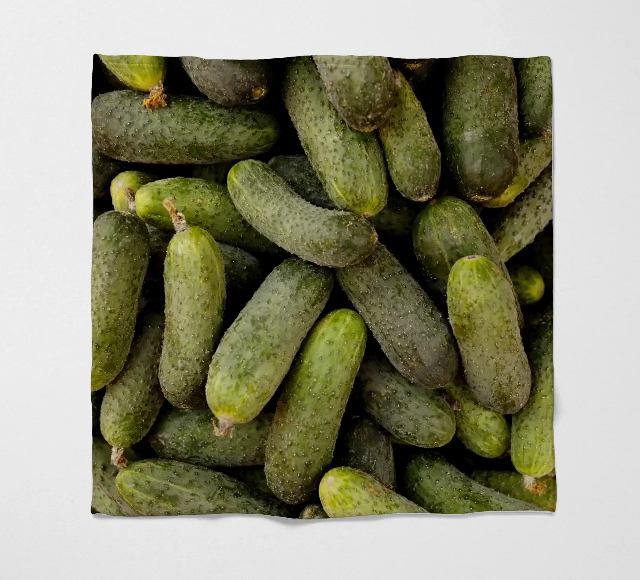 Cetrioli in Ucraina coperta in pile da Simon Koy