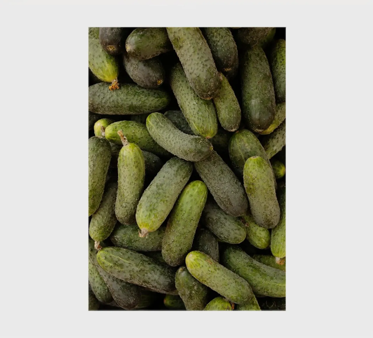 Cucumbers in the Ukraine notebook by Simon Koy