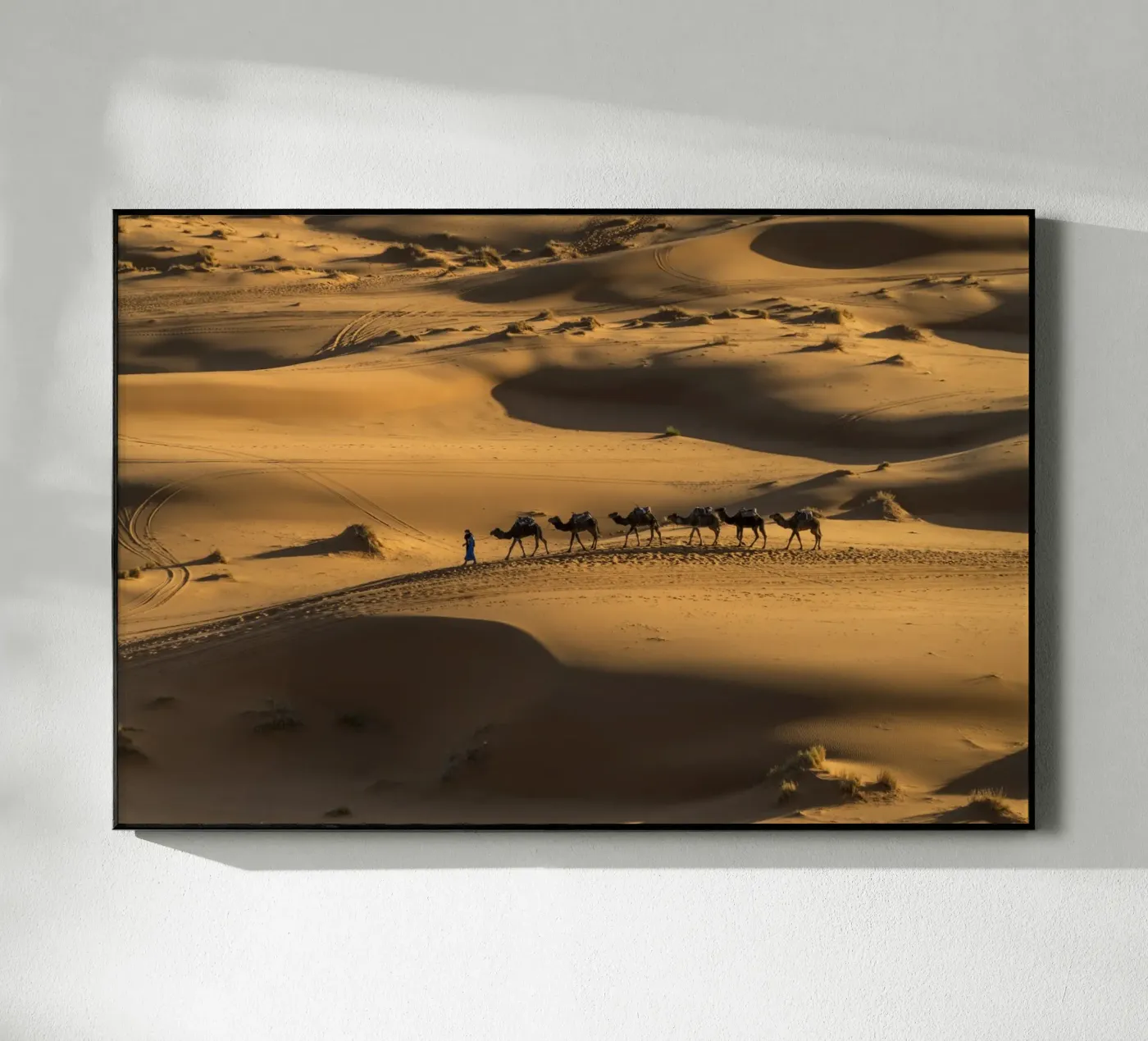 Kamel Karawane Marokko plexiglass da Reisefotografie - Bilder aus aller Welt