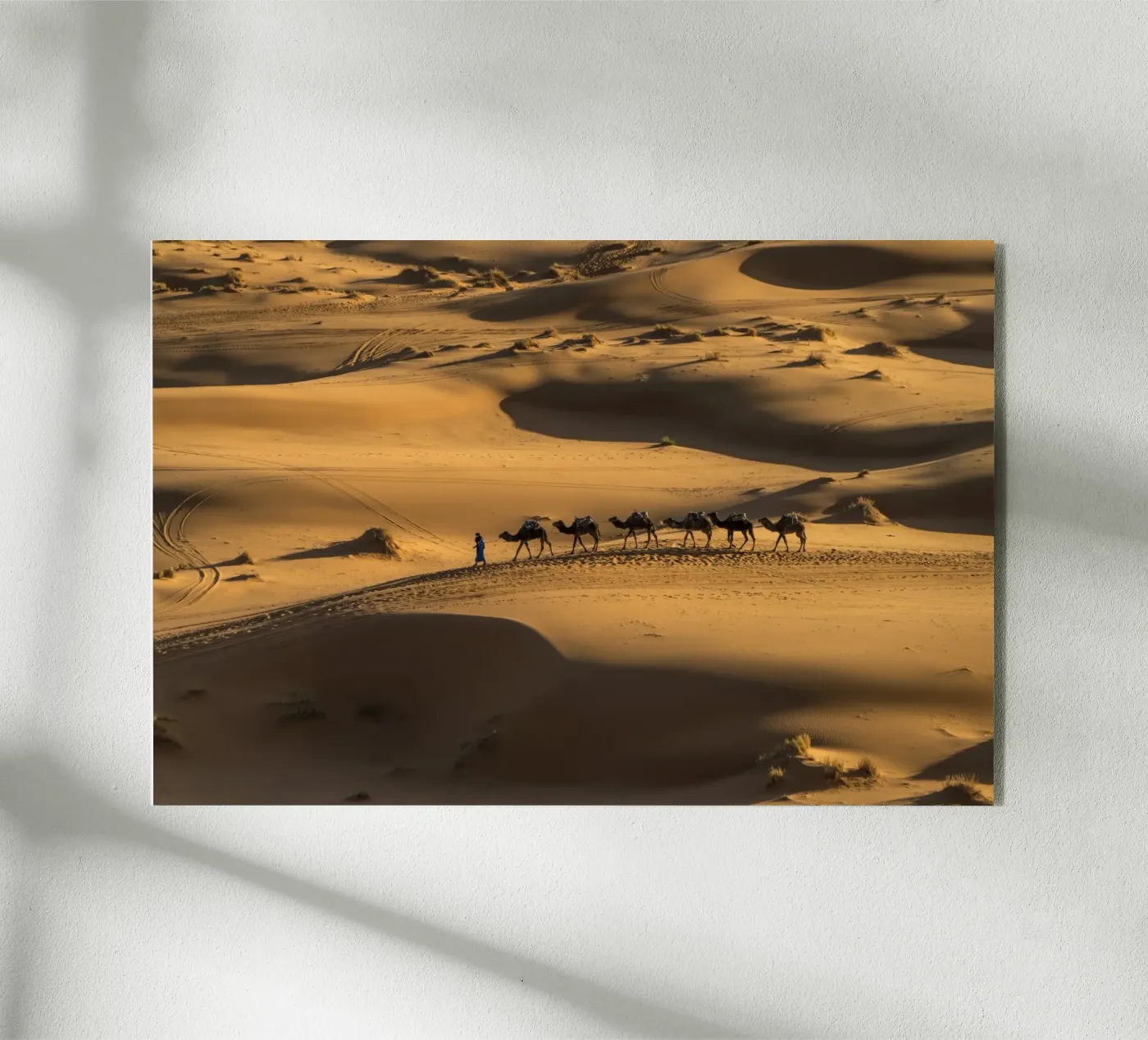 Kamel Karawane Marokko plexiglass da Reisefotografie - Bilder aus aller Welt