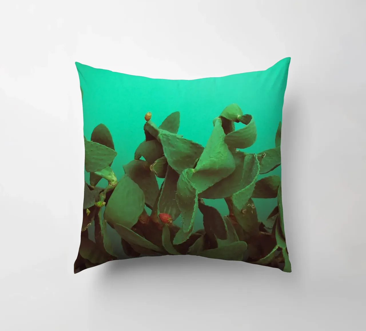 Opuntienkaktus cuscino da Whimsical Lights