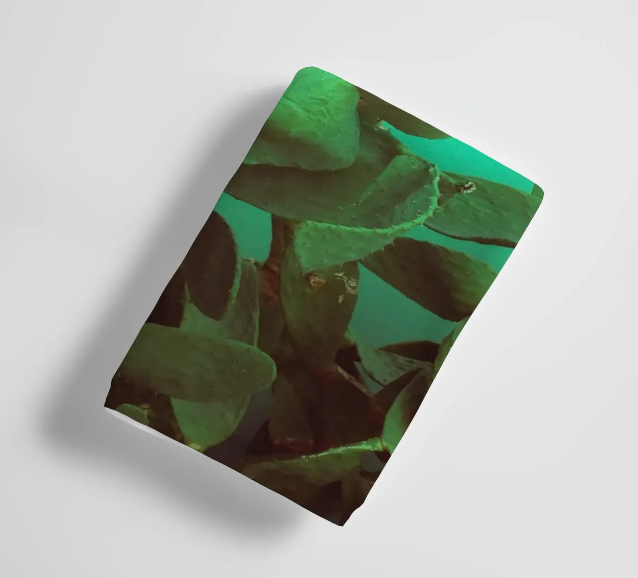 Opuntienkaktus asciugamano da bagno da Whimsical Lights