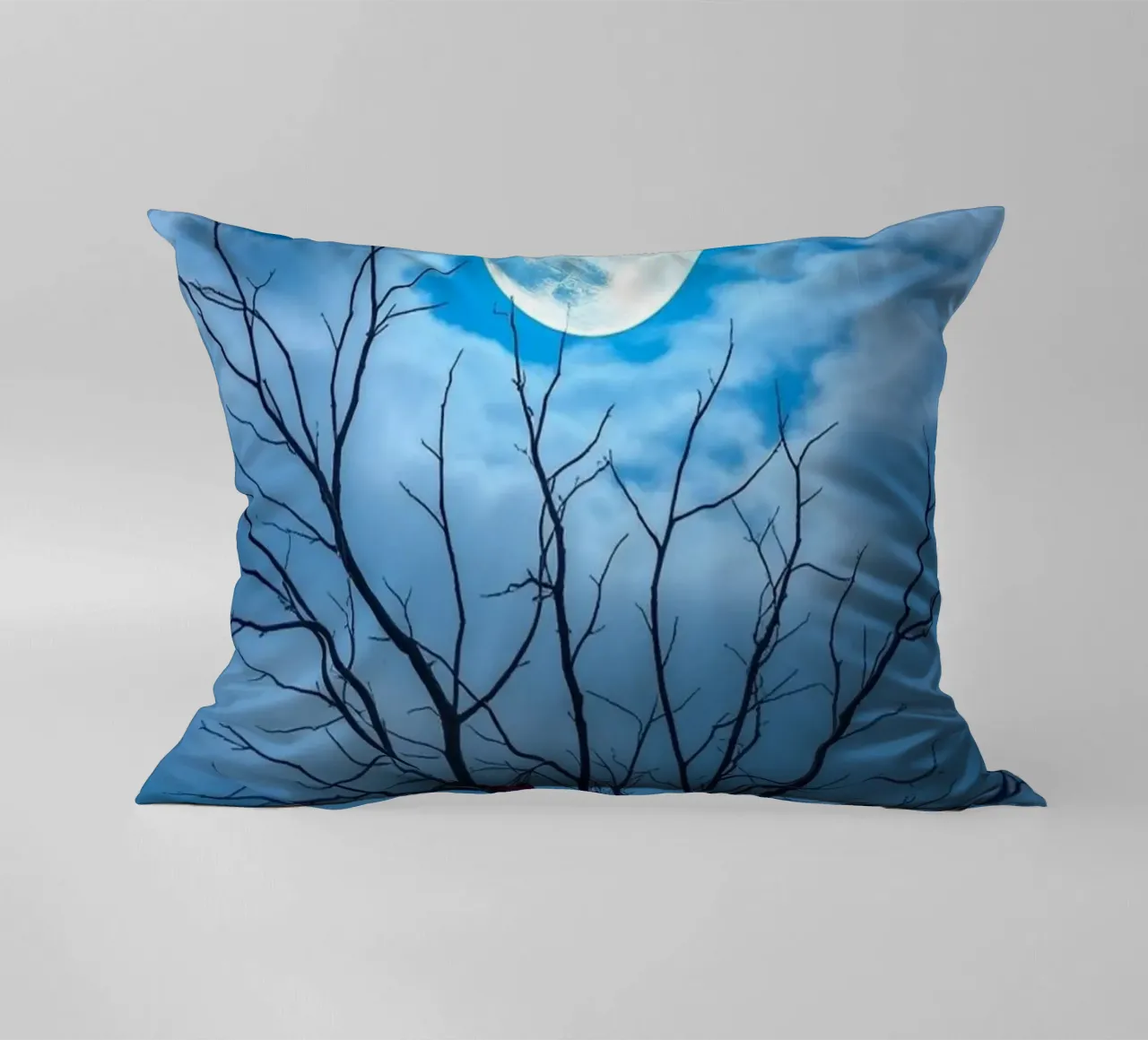 Luna blu d'inverno cuscino da Artistic-shop