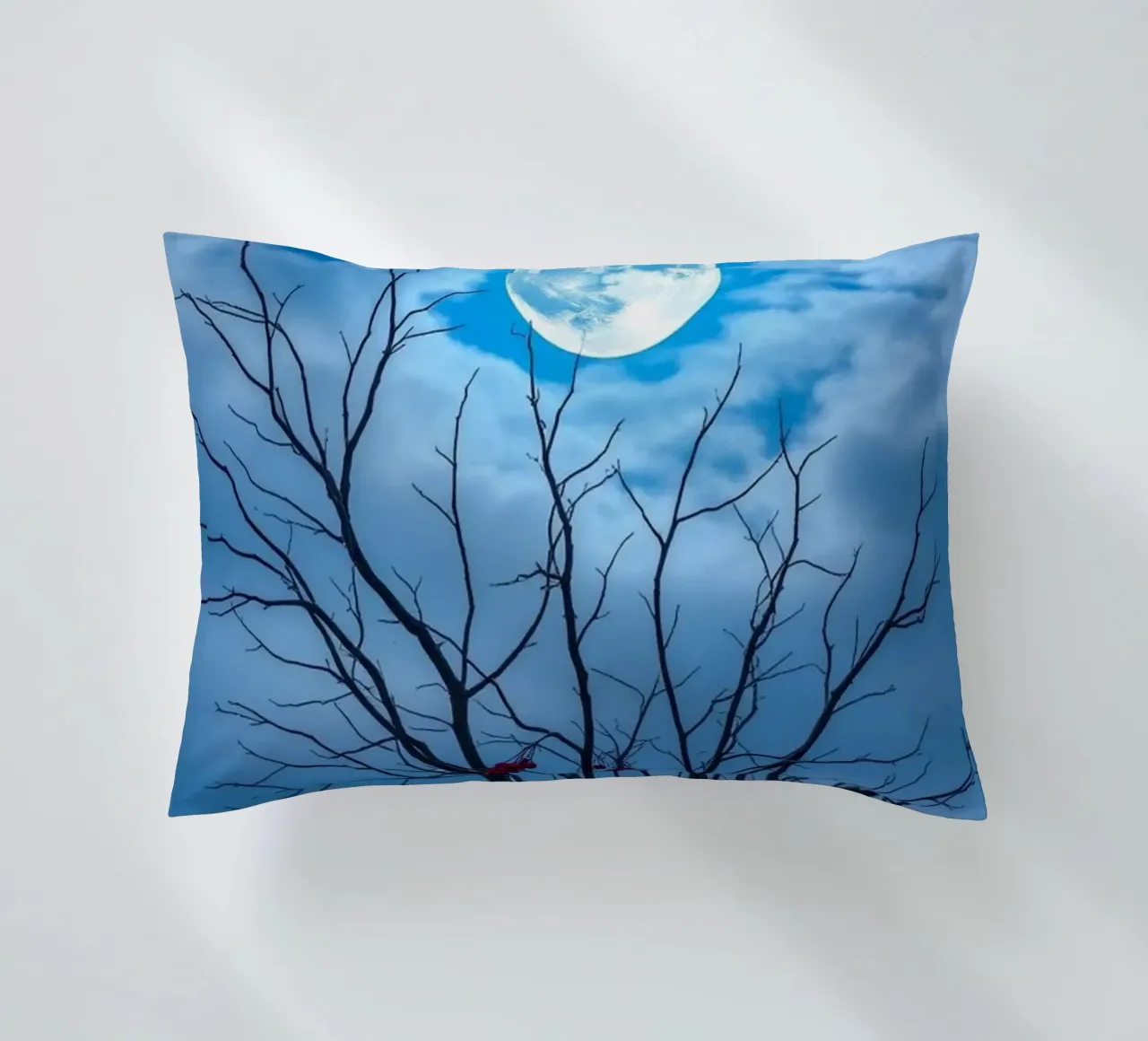 Luna blu d'inverno cuscino da Artistic-shop