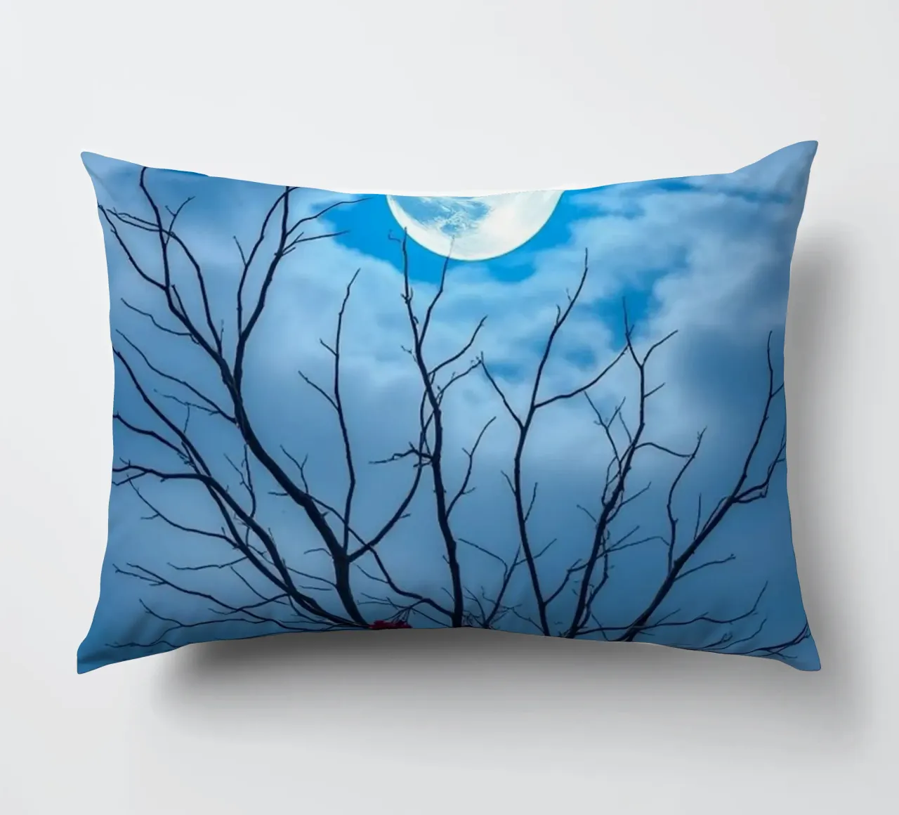 Luna blu d'inverno cuscino da Artistic-shop