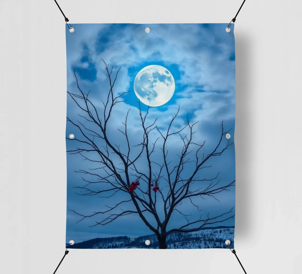 Luna blu d'inverno telo in pvc da Artistic-shop